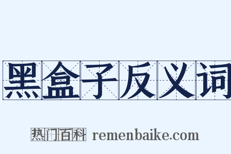 黑盒子反义词是什么意思的图片